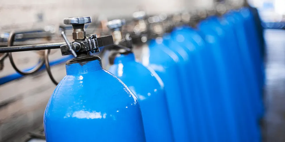 'Emissions concerns will constrain investment in blue hydrogen as green H2 sector grows': Fitch