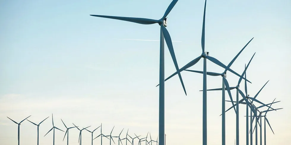 Vestas turbines.