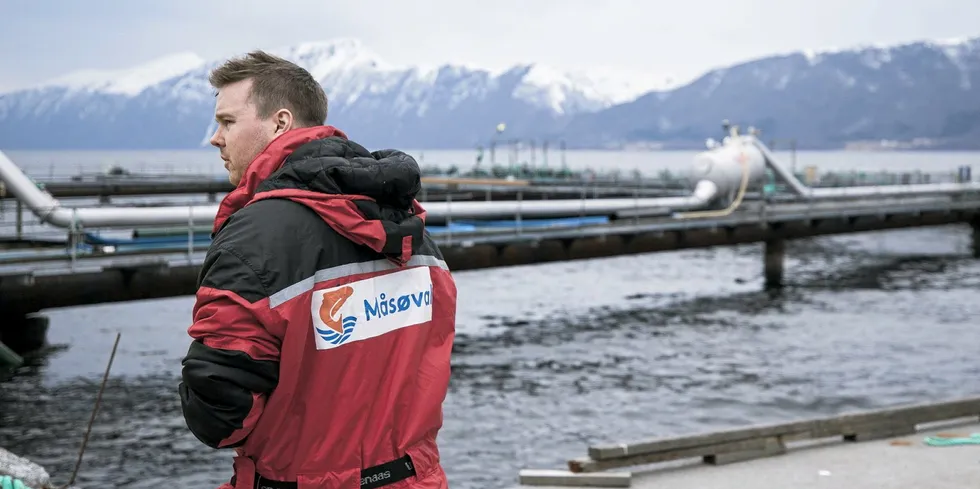 Several salmon farming companies reporting being particularly badly affected by winter sores at the end of last year,