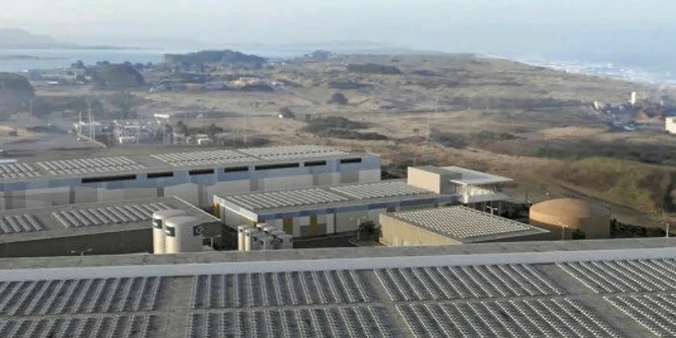 A rendering of Nordic Aquafarms' land-based salmon RAS site on the Samoa Peninsula in Humboldt County, California.