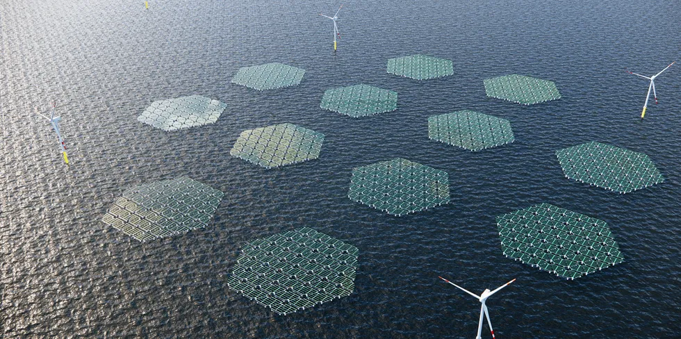 A rendering of a SolarDuck floating solar array within an offshore wind farm.