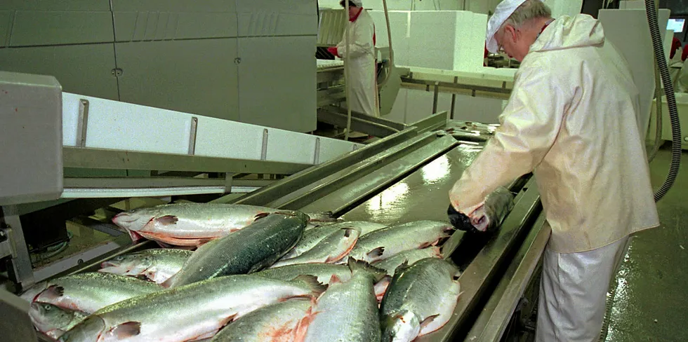 Norwegian salmon prices appear to be bouncing back from their lows a few weeks ago.