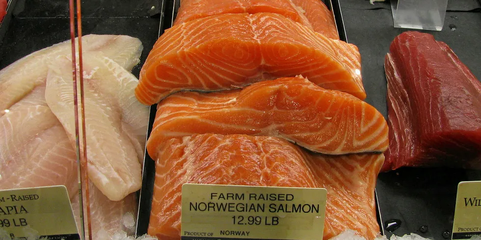 . Norwegian salmon fillets.