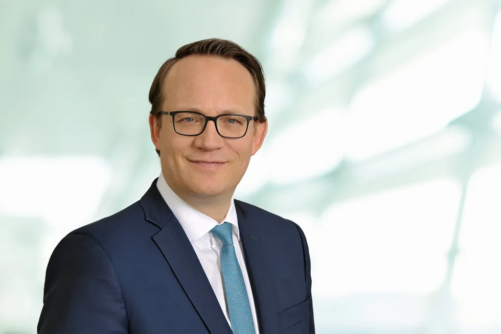 RWE chief executive Markus Krebber.