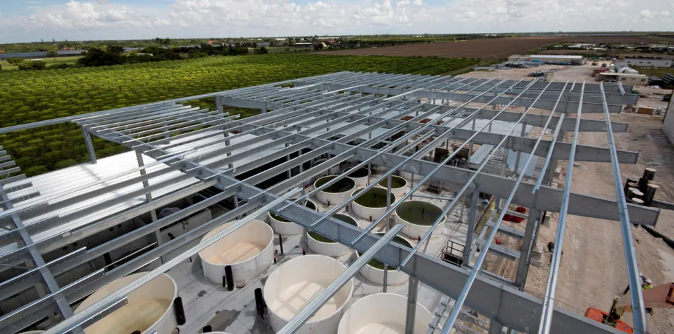Atlantic Sapphire's US land-based salmon farm in Miami is about to enter its second phase of construction.