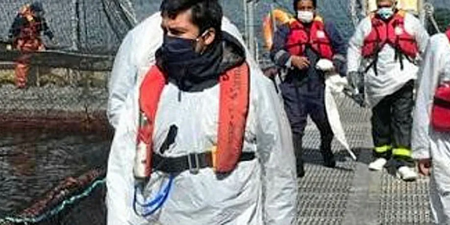 Officials inspect a farm site owned by Granja Marina Tornagaleones.