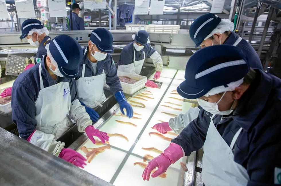 Russia's pollock industry is seeking more government assistance in its drive to increase domestic consumption.