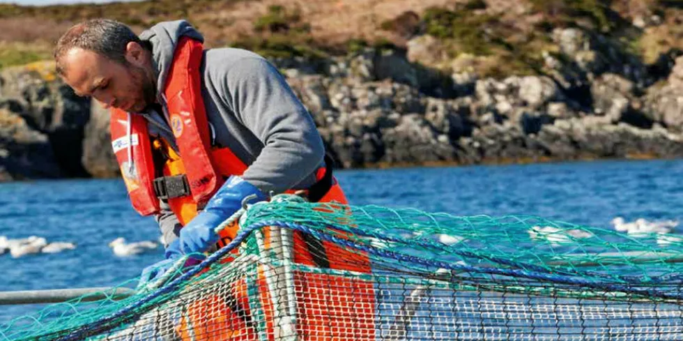 A Scottish salmon farm site.