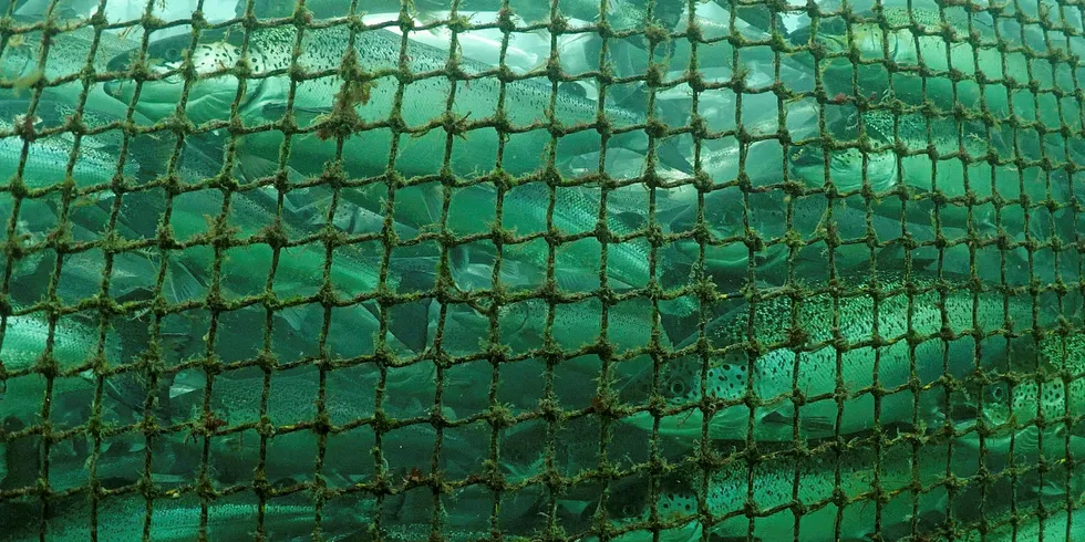 'The model feels rushed, and is based on assumptions that aren’t clear in the study and don’t reflect a number of complex variables including the reality of ocean conditions,' said BC Salmon Farmers Association.