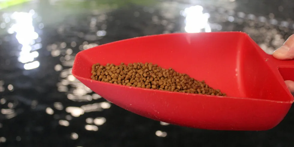 Aquaculture feed production was flat last year in Japan, but already demand is showing strength in 2021.