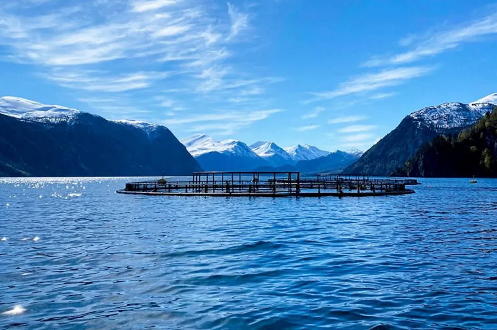 Hofseth Sea Farming notified the Norwegian Food Safety Authority on July 31 of the suspicion of BKD.