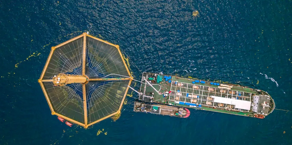 Chinese offshore Atlantic salmon farm Shenlan 1.