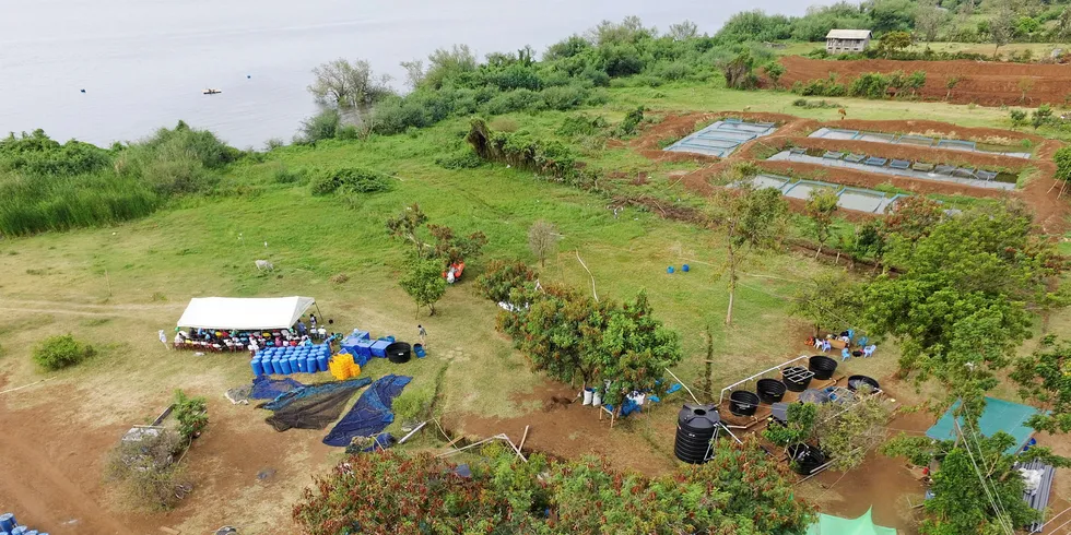 From an idea to full-scale operations within only a few years: Victory Farms in Kenya.