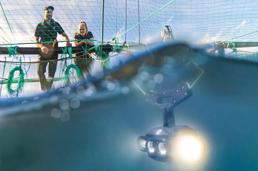 The company provides underwater cameras and machine learning technology that measures fish weights, detects sea lice infestations, and generates optimal feeding plans in real time.