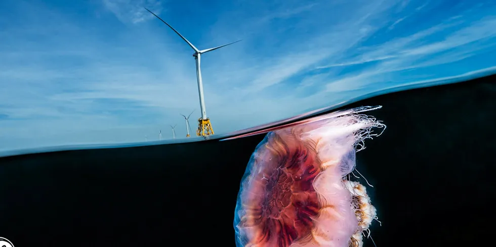 Block Island Wind Farm