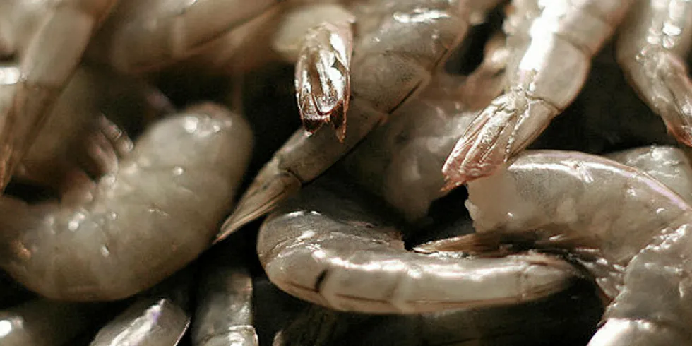 . shrimp.