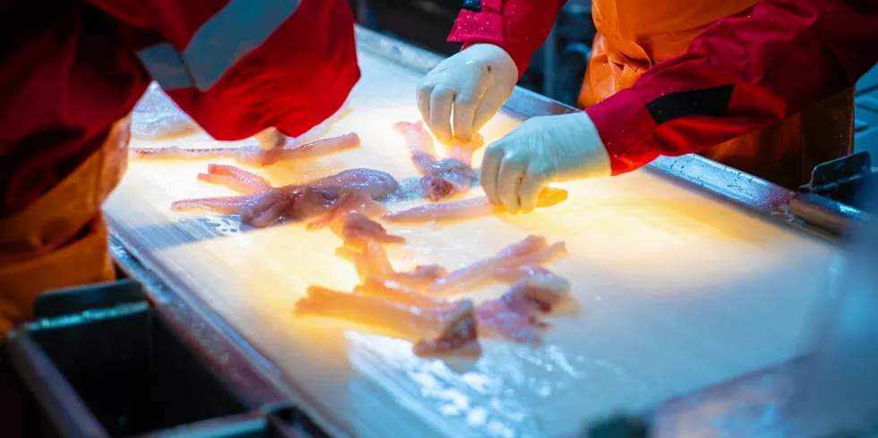 Pollock now accounts for almost 36 percent of Russia’s total catch, making the species the country’s main commercial seafood product.