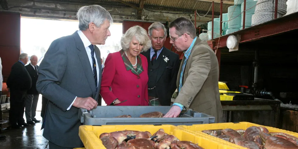 The buyer has plans to invest in the company and the products and provide services to local fishermen as it looks to re-establish the business.
