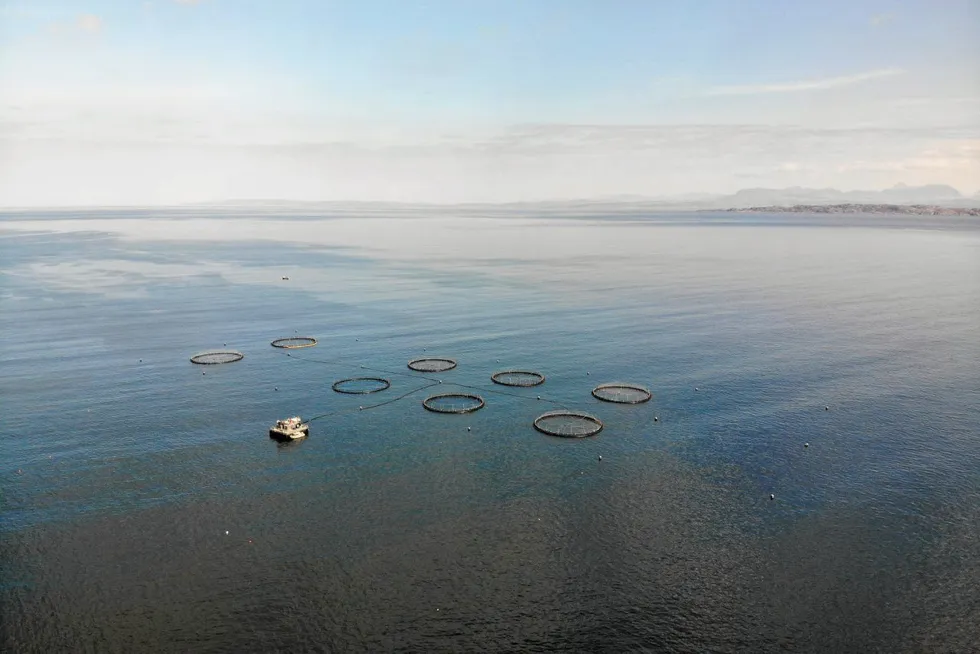 Organic Sea Harvest produced its first organic salmon off the coast of Skye in 2021.