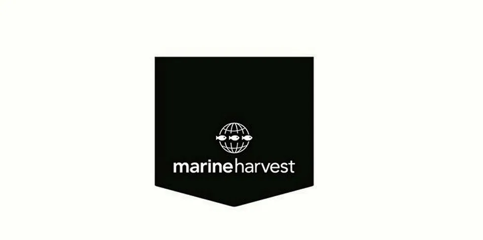Marine Harvest is the world's largest producer of Atlantic salmon.