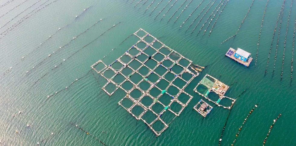 Aerial view of a floating fish farm off the coast of Qingdao, Shandong Province, China.