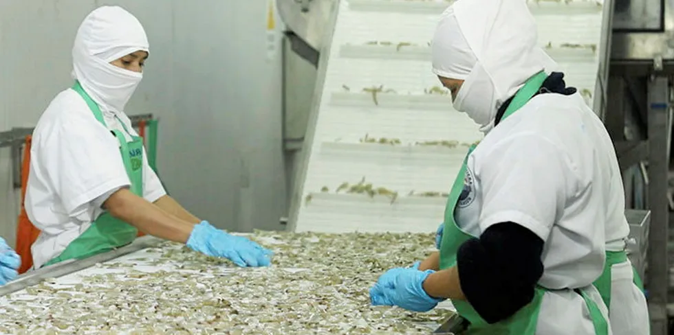A strong recovery in Chinese orders hoisted Ecuadorian shrimp exports in May.