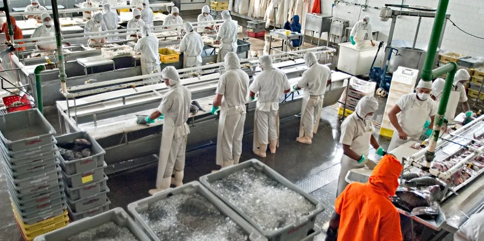Brazilian processor Frescatto is among those making investments this year.