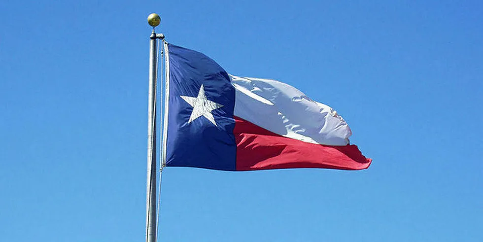 Texas flag