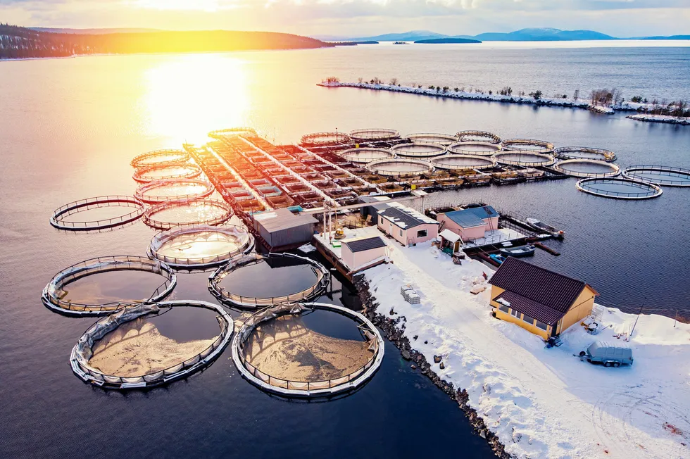 Salmon farming in netpens has “untapped potential” for growth as new technologies deliver substantial improvements in fish health.