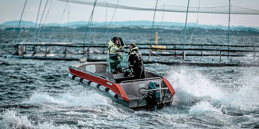 Salmon production at Masoval's Froya site in Trondelag helped put the company among those with the best EBIT/kg margins in the second quarter.