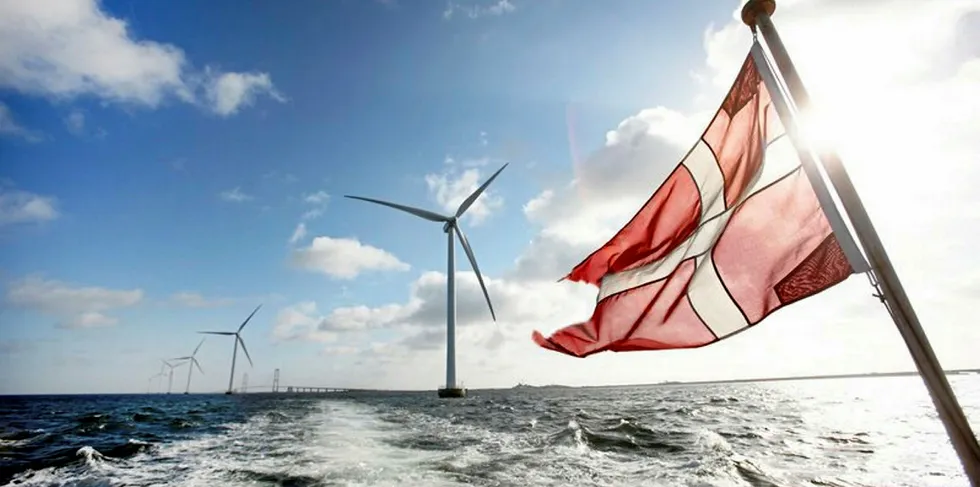 Thor will be Denmark's largest project yet