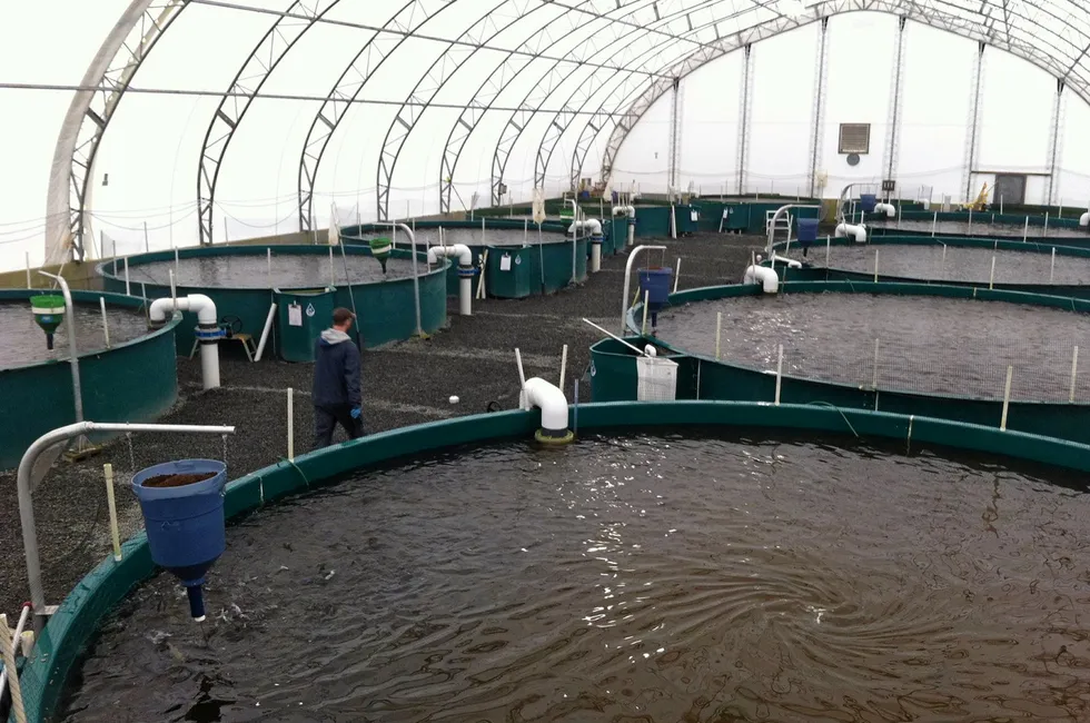 The future of the Taste of BC land-based trout farm is uncertain.