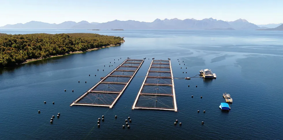 Mowi, the world's largest salmon farmer, reported a loss of 20,000 farmed salmon to authorities. The cause is unknown.