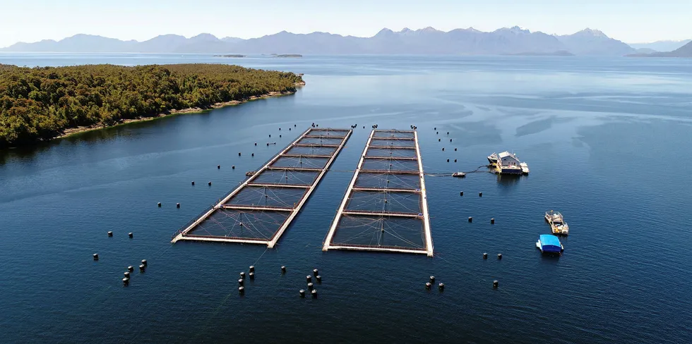 Russia also banned salmon from Faroe Islands giant Bakkafrost this week.