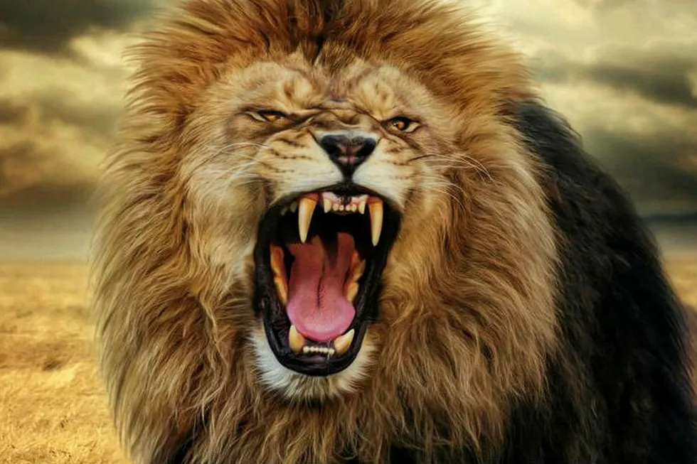 Lion's share: the Australian company has struck a deal to increase its interest in the SNB PSC to 19%