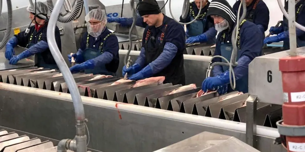 OBI's Wood River facility is one of the group's most modern, and produces critical fresh, high-value sockeye salmon primarily for the domestic US market.