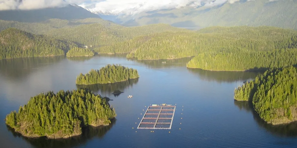 A Cermaq salmon farm near Tofino on Vancouver Island in British Columbia.
