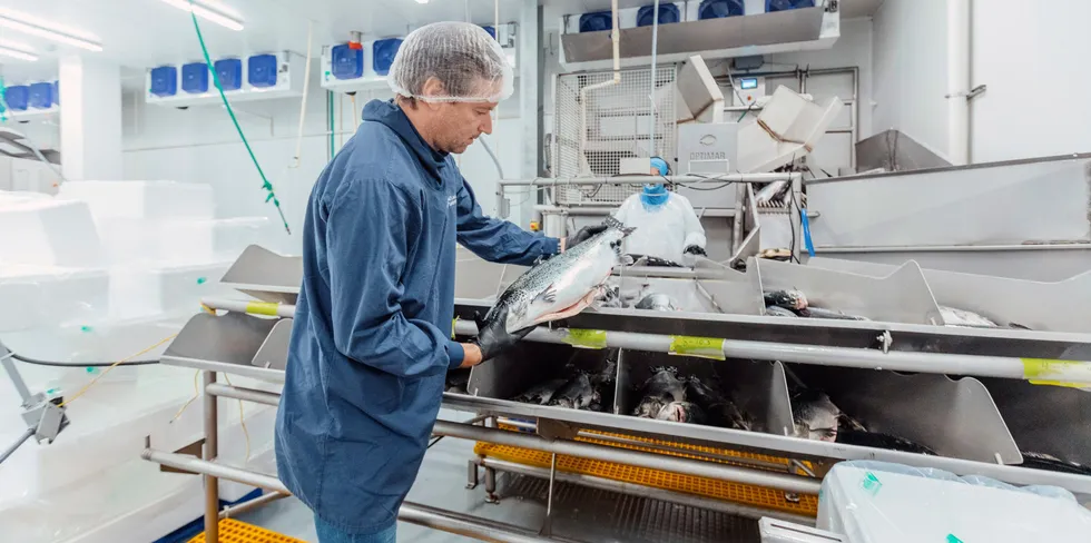 Atlantic Sapphire CEO Johan Andreassen remains upbeat despite the latest issue affecting his company.