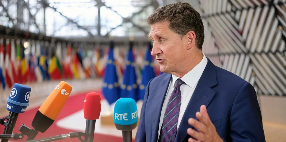 Irish Minister for the Environment, Climate and Communications Eamon Ryan.