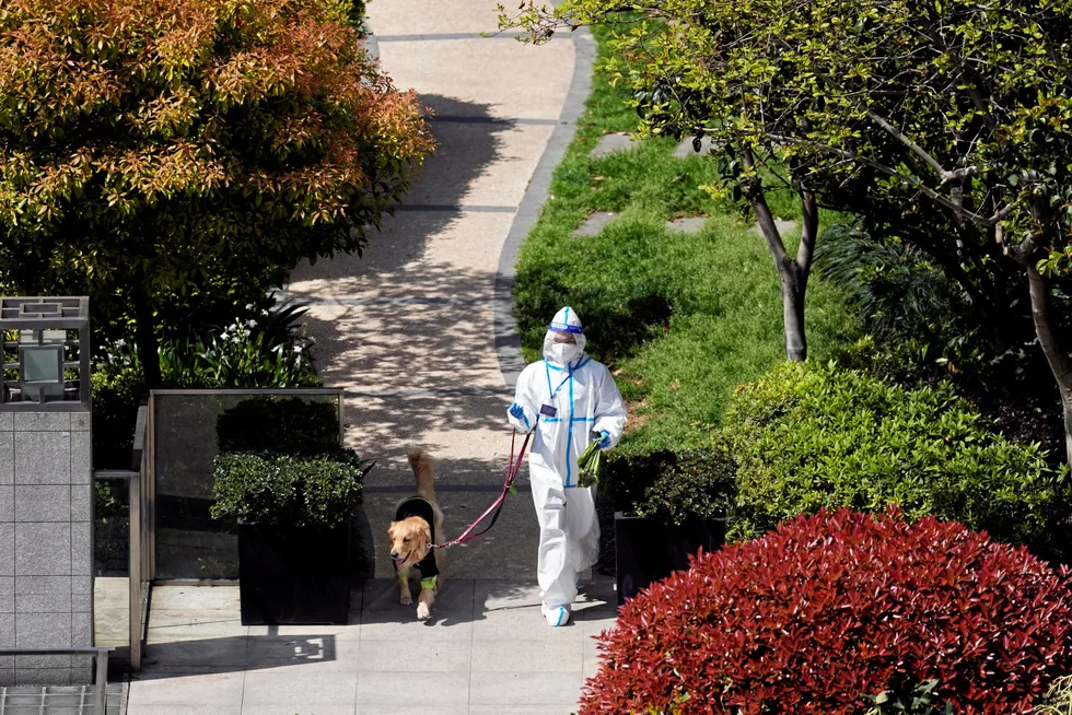Paw patrol: a man suits up to walk his dog in a residential area under lockdown in Shanghai this month