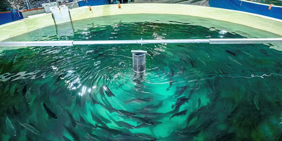 Pure Salmon's Polish land-based salmon farming operations.