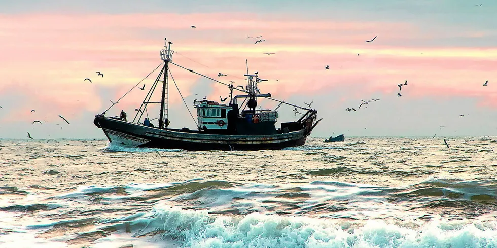 'When seagulls follow the trawler, it is because they think sardines will be thrown into the sea."