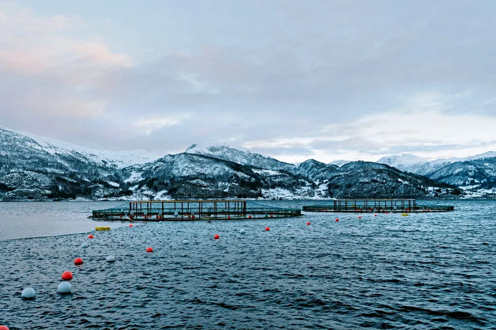 The suspected case was detected in Vestnes municipality, More and Romsdal county. The picture is not related to the article.