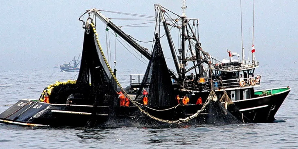 At the current rate of harvesting, the season could last 35 more fishing days, running to June 2, according to documents seen by IntraFish.