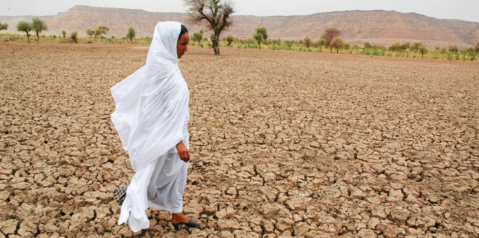 A woman walks across a dry oasis bed in Mauritania's Sahara Desert region.