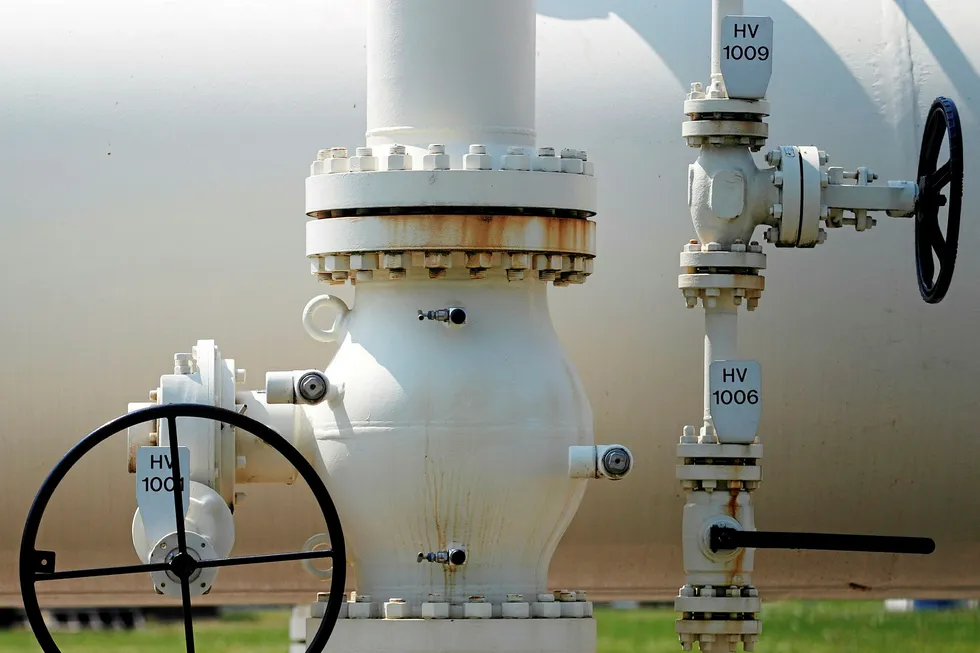 South Stream: Faces share freeze