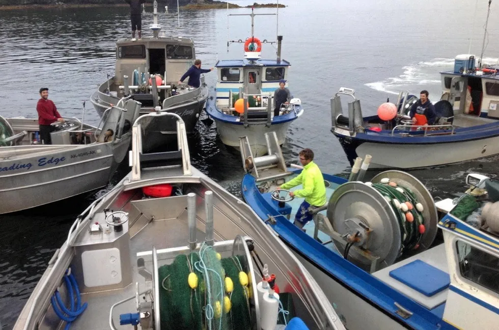 Environmental NGOs are weighing in as the Marine Stewardship Council reviews its fishery certification for key salmon species in Alaska.