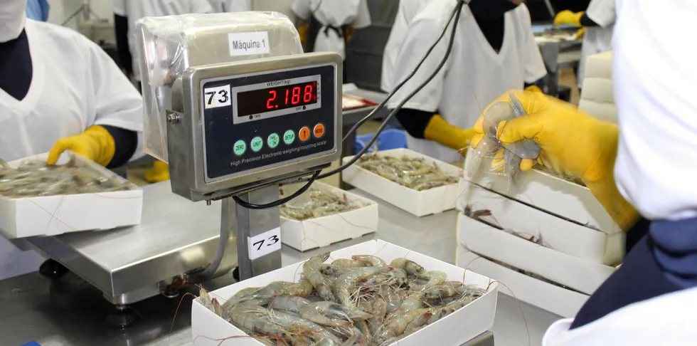 Ecuador's shrimp exports are off to a strong start.