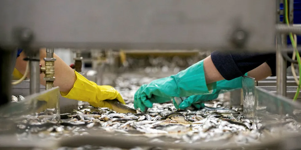 Workers in New Bedford, Massachusetts, are calling for more safeguards to protect them from the coronavirus.