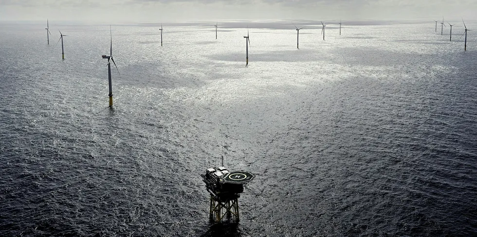 Borkum Riffgrund 3 will be built neighbouring Orsted's Borkum Riffgrund 1 and 2 wind farms off Germany